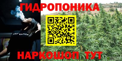 соль ск Пушкино