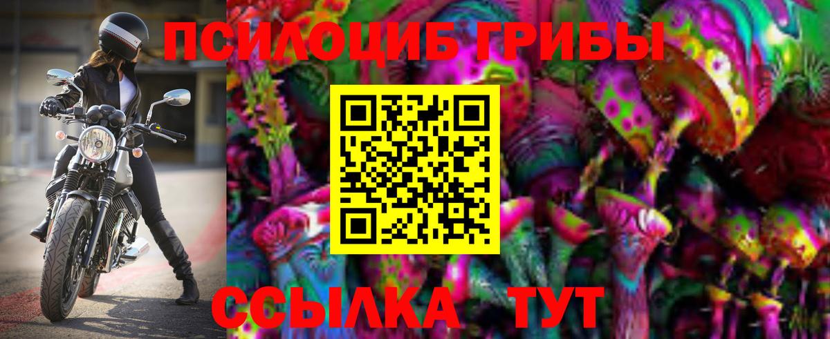 Псилоцибиновые грибы Psilocybine cubensis Ростов Великий